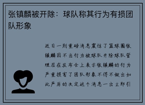 张镇麟被开除：球队称其行为有损团队形象
