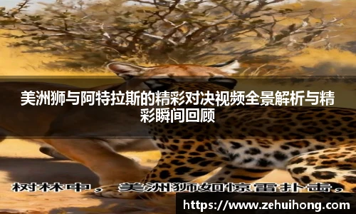 美洲狮与阿特拉斯的精彩对决视频全景解析与精彩瞬间回顾